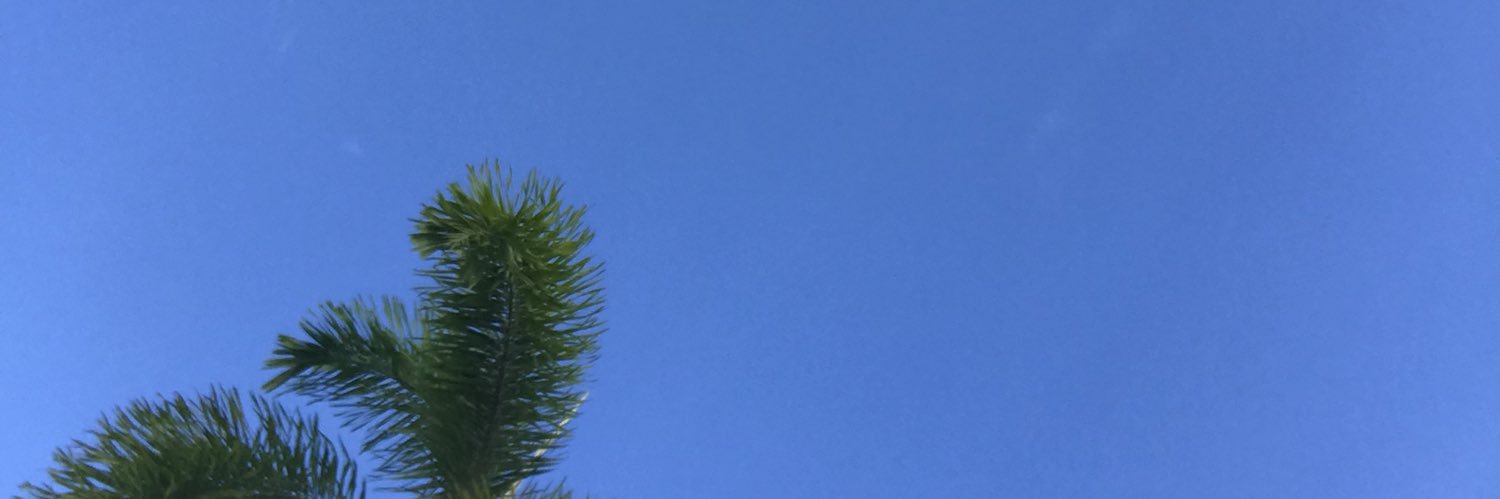 Ploiiy 150% 😊 banner