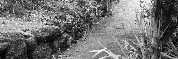 ralphaclark Profile Banner