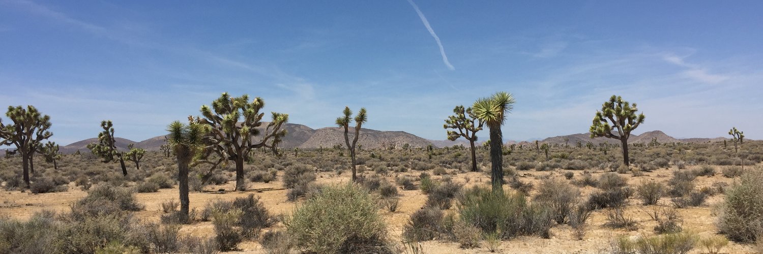 Blake Yarbrough (blake.tez; muzic.tez) banner