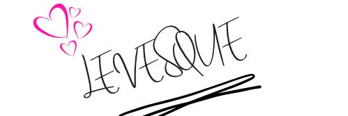levesquesstyle's profile banner image
