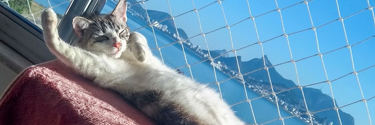 lalamofer's profile banner image