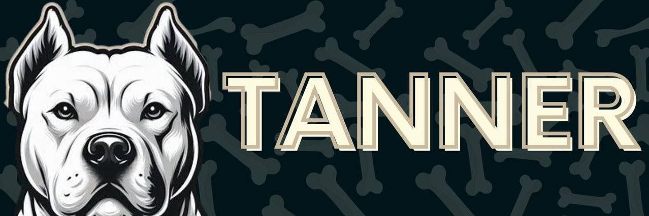 TannerOnSol's profile banner image