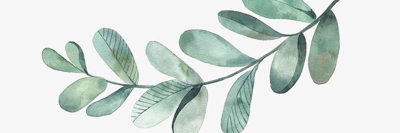 __shwi5's profile banner image