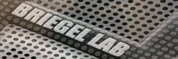 BriegelAriane Profile Banner