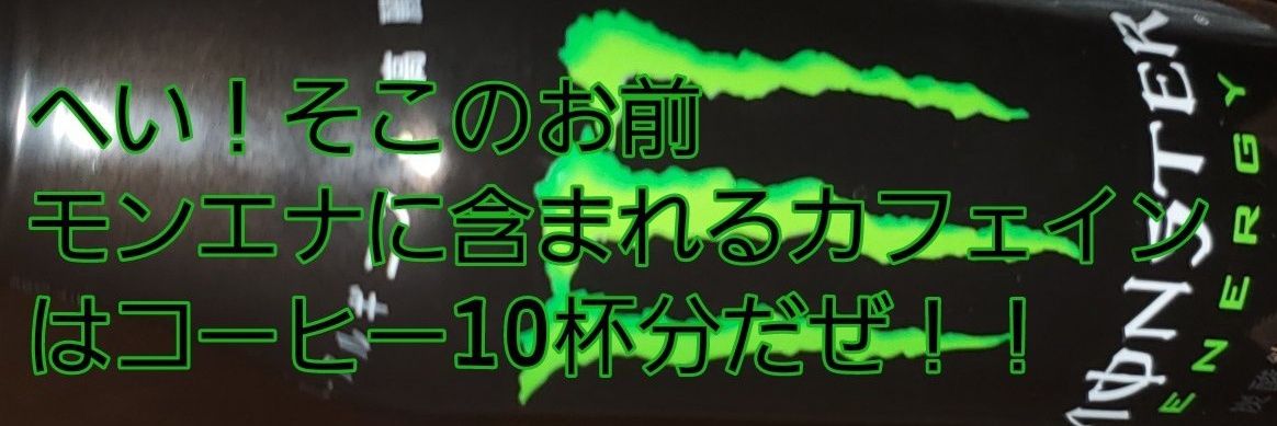 シンヤ黒猫 banner