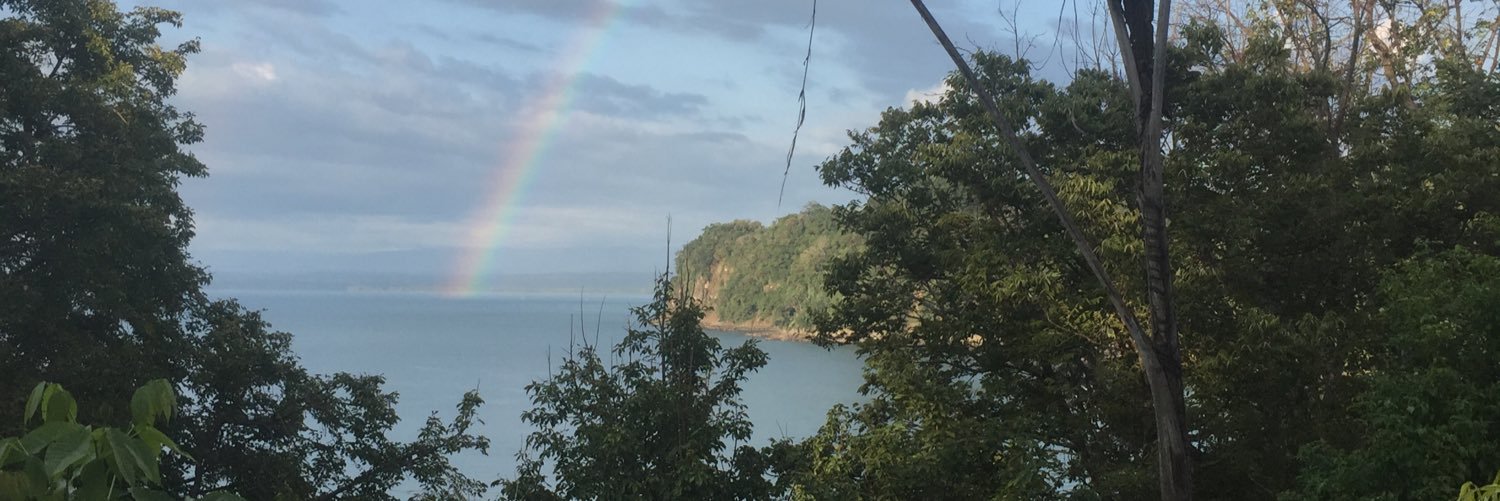 SheaDavis5's profile banner image
