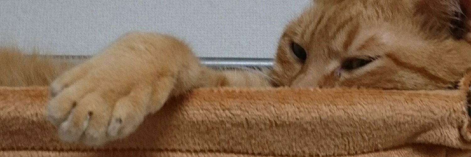 taekokok's profile banner image