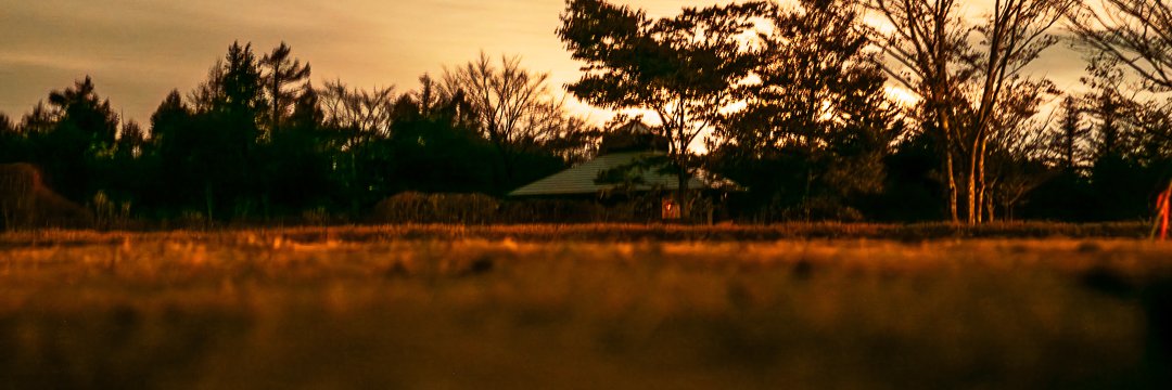 Hikachof's profile banner image