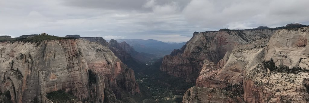 MattFlax's profile banner image