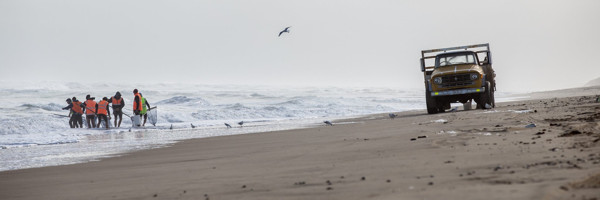 Goolwa_PiPiCo's profile banner image