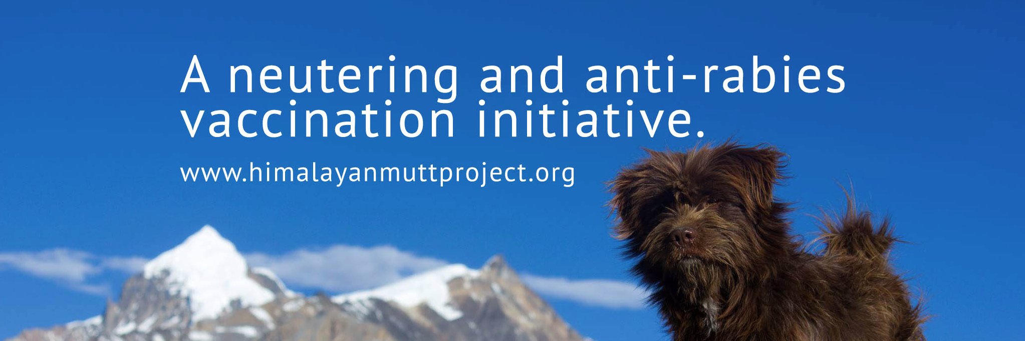 HimalayanMutts's profile banner image