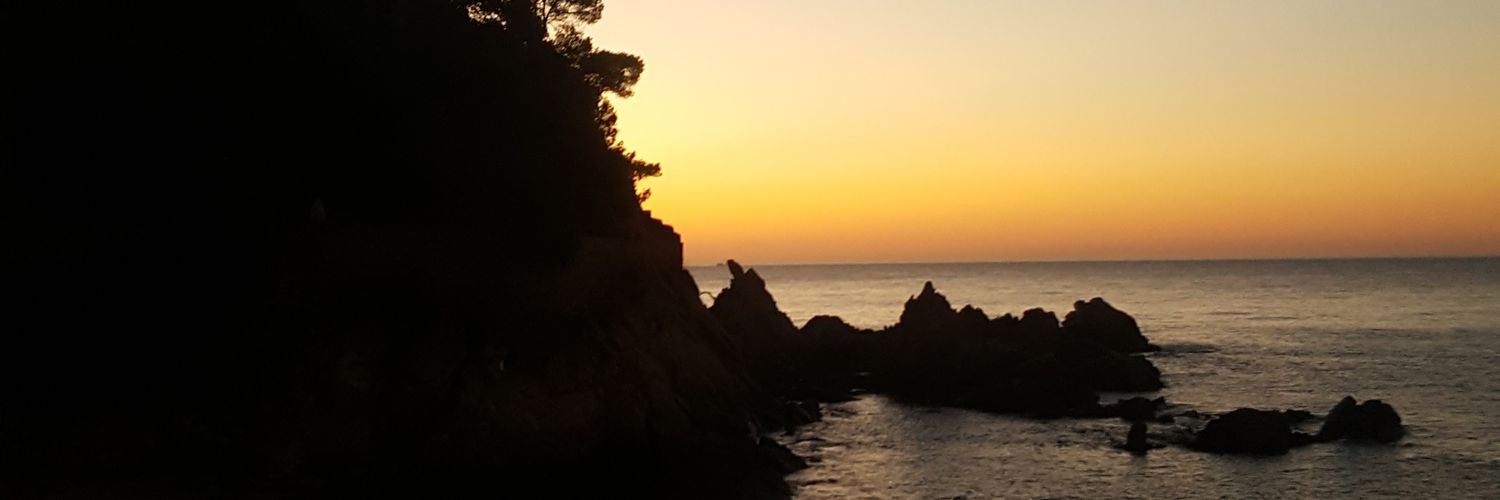 Guillaume CANET banner