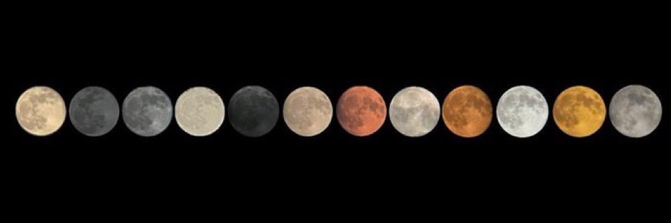 mastermind_luna's profile banner image
