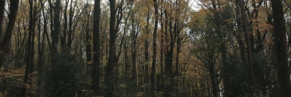 BennettGrainne Profile Banner