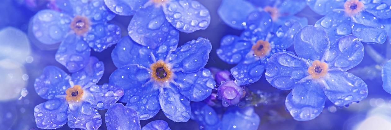 UCL Crime Science banner