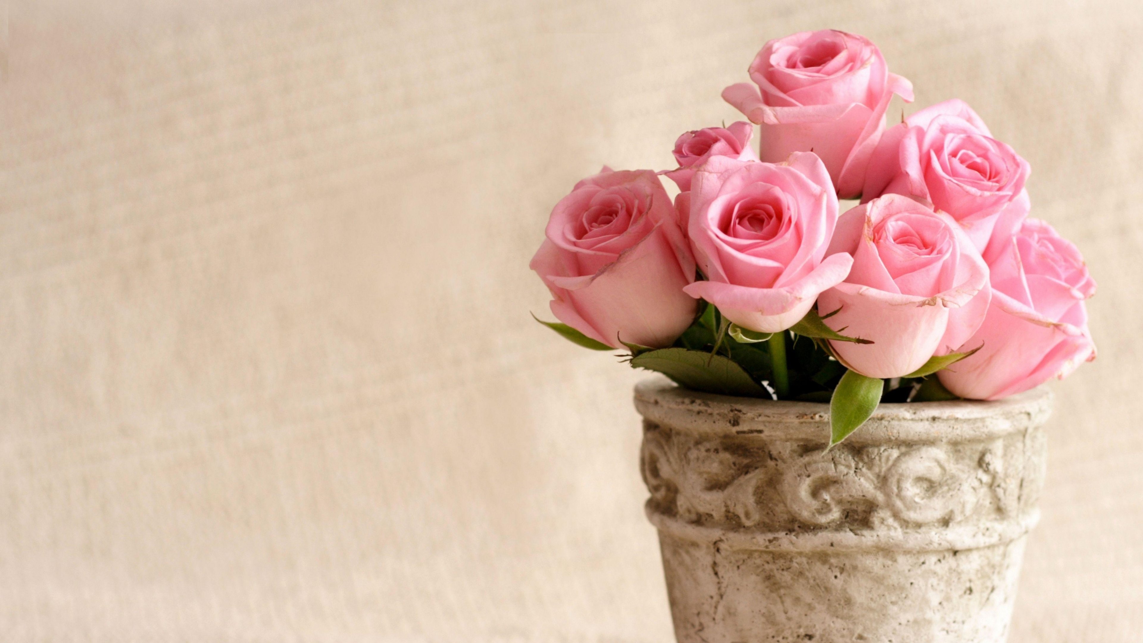 weddingoutletuk's profile banner image
