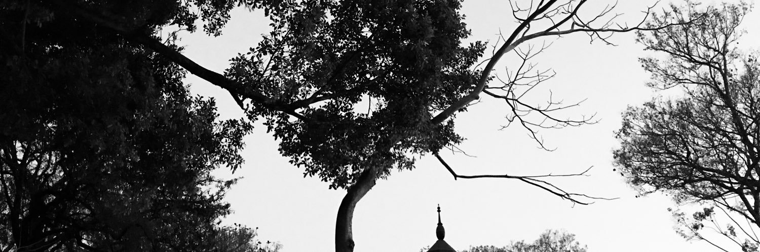 CDCAMPOS993's profile banner image