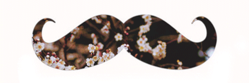 libasbeser's profile banner image