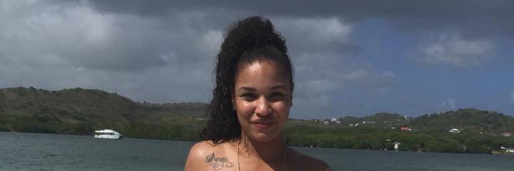 DaElectQuanica banner