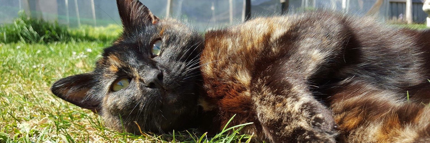 FOLLOW @UltraFlareFX banner