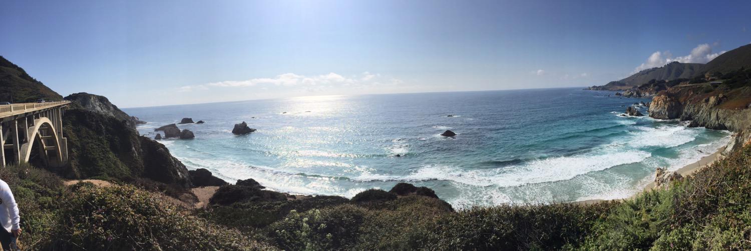 shark_attack92's profile banner image