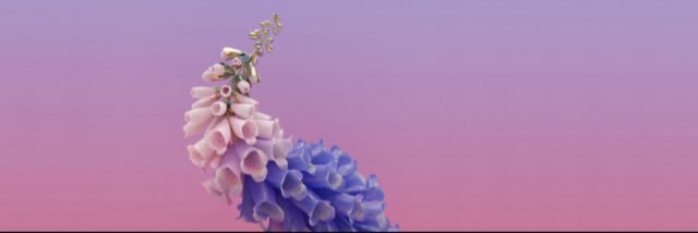 KyleBarberOo's profile banner image