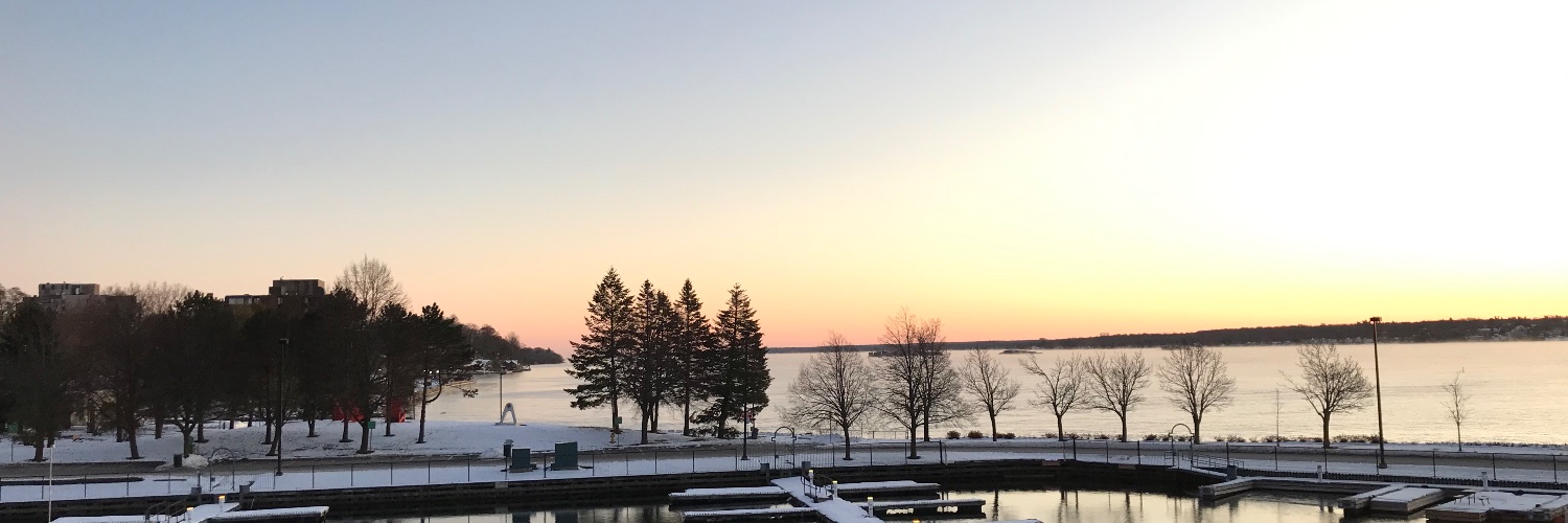 nickdinh's profile banner image
