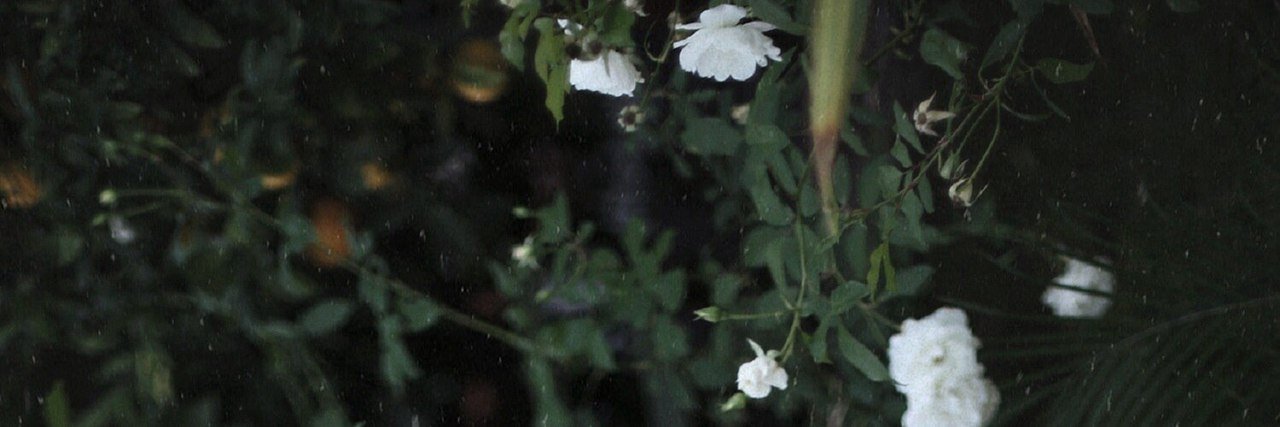 SteysHolms's profile banner image