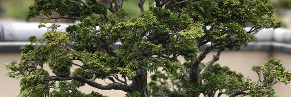 FluShots4All Profile Banner