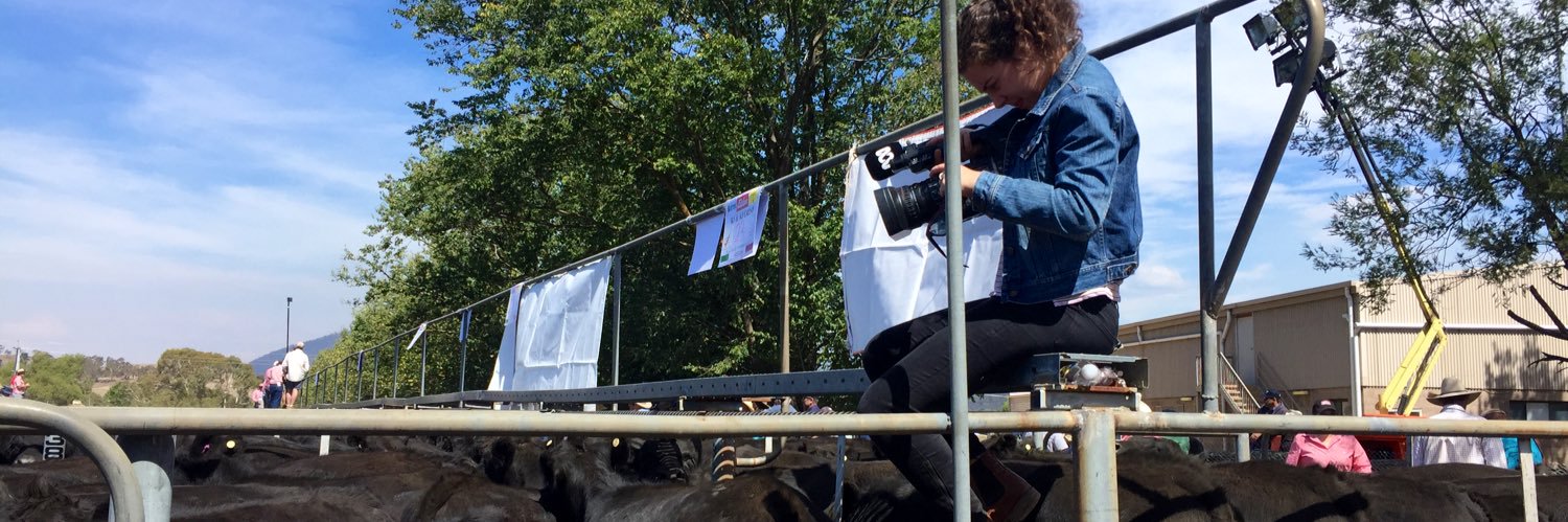 Isabella Pittaway banner