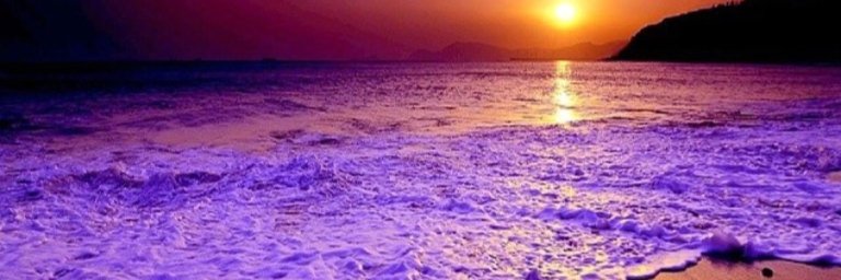 R23F_gh's profile banner image