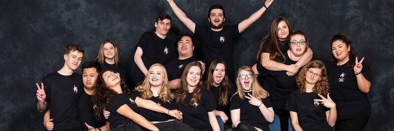 DMU Acapella banner