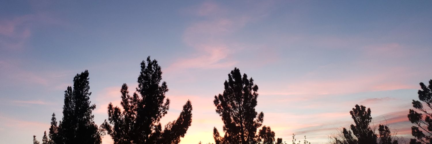 _nenny's profile banner image