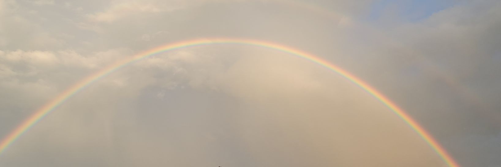 Tay 🐀🔞 (Full Force Fujoshi ✨️👊🏽🏳️‍🌈) banner