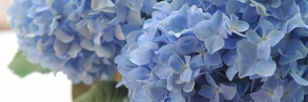 jen_waye's profile banner image