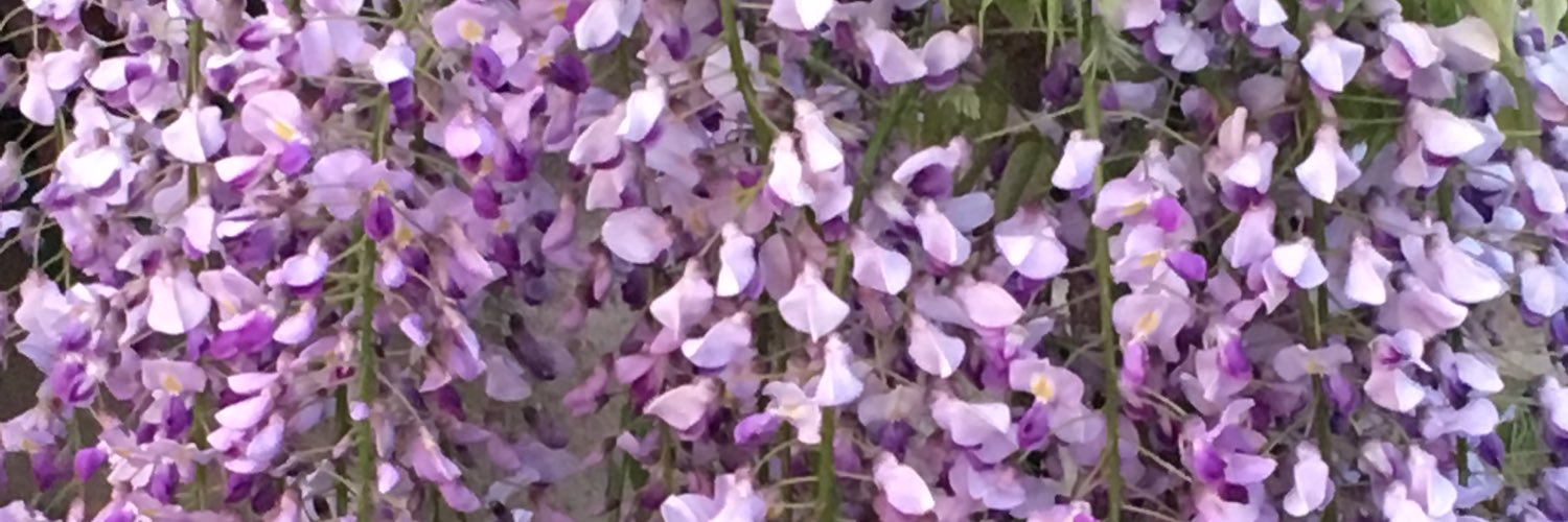 125y_y's profile banner image