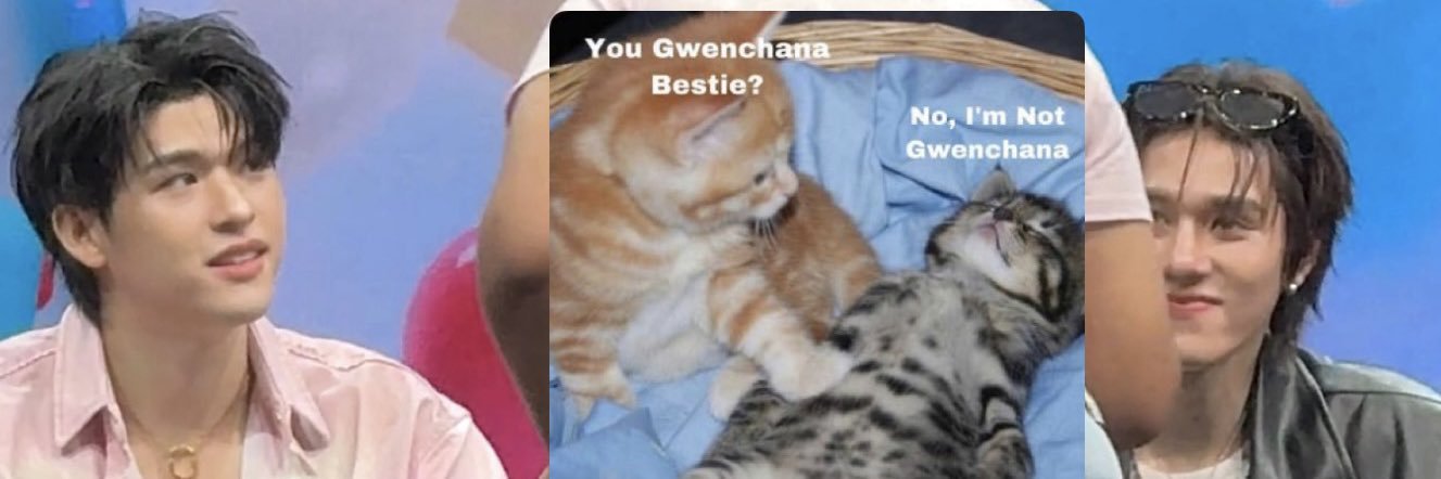 QueenWarit's profile banner image