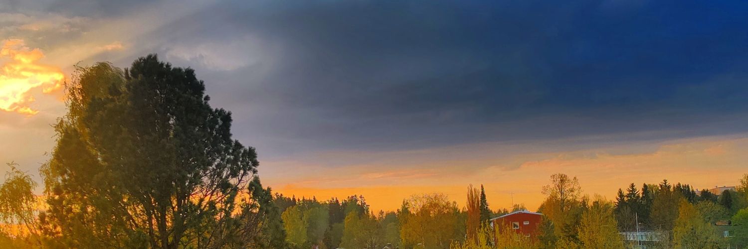 ErikaSDBK's profile banner image