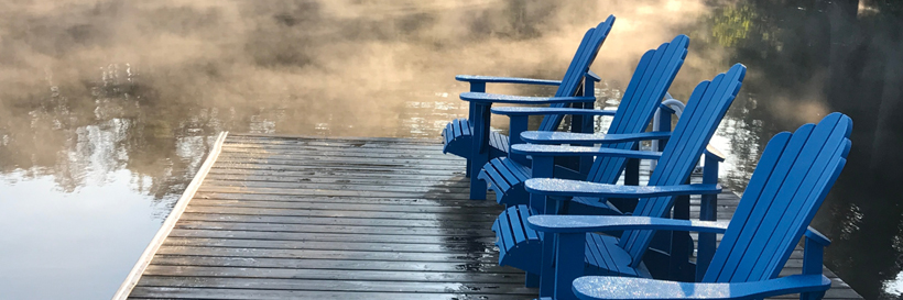 Walker Lake Resort banner