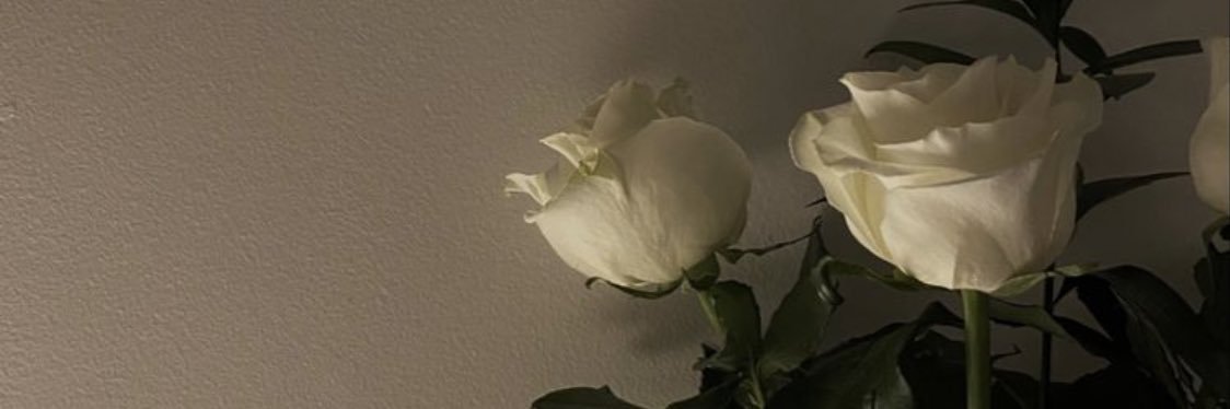 M2h_a1's profile banner image