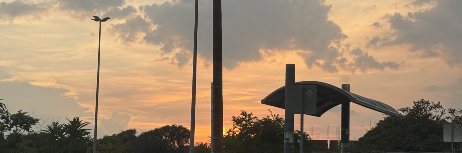 xallysan's profile banner image