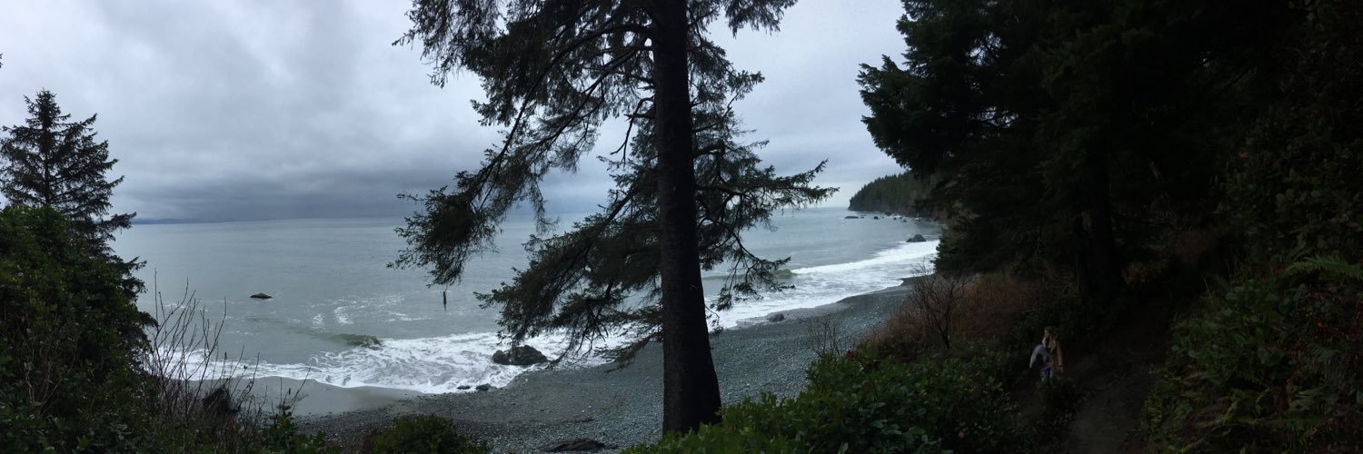 SummerLeech's profile banner image