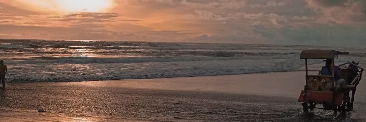 Milly banner
