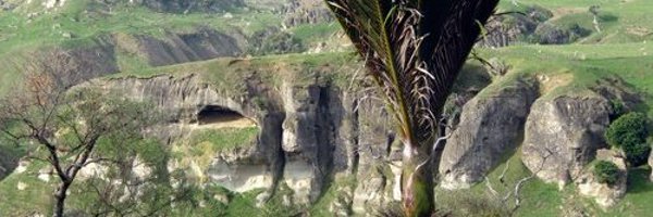 SikotiHamiltonR Profile Banner