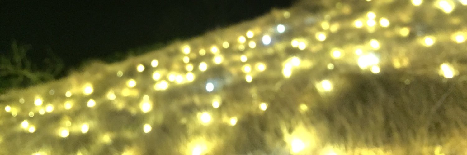 raku_916's profile banner image