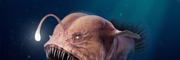 BTCTuDaMu's profile banner image