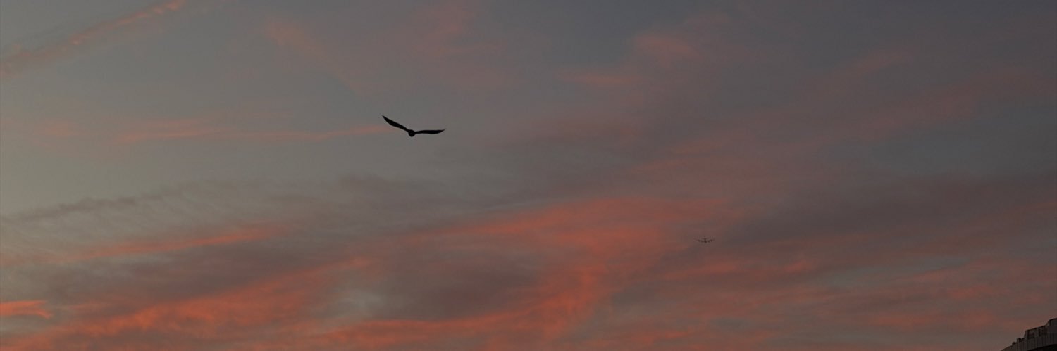 therealanod's profile banner image