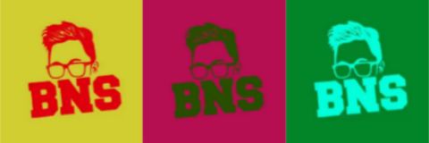 BrandonatorPAL1's profile banner image