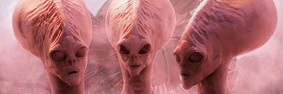 CerveraConsuelo's profile banner image