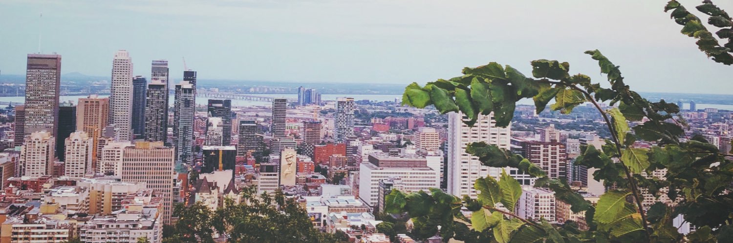 LouiseHally's profile banner image
